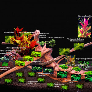 Publication de aqua-sympa22