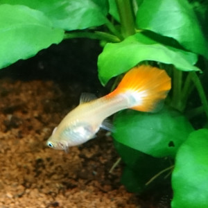 Publication de MarleneMLX