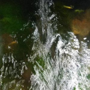 Publication de Lulu82