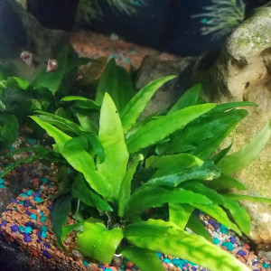 Publication de Lulu82