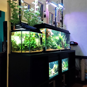 Publication de MarleneMLX