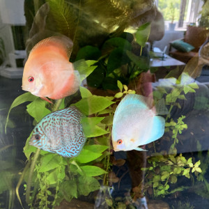 Publication de Juju690