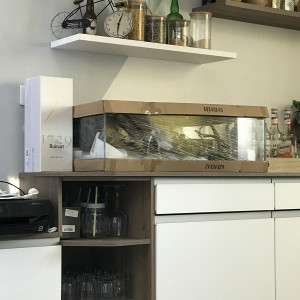 Publication de Miel-Pops-971