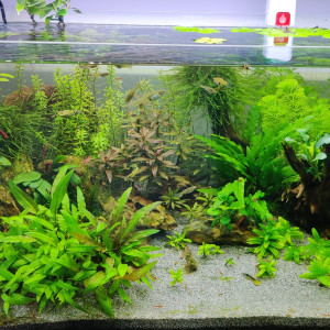 Publication de pad92