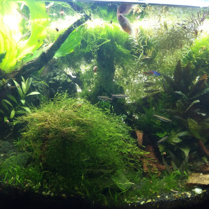 Publication de Stef7524