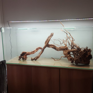 Publication de Minipote768