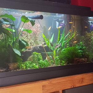 Publication de Mevew