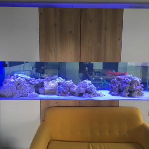 Publication de SERGE1460