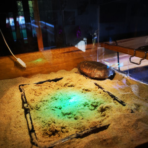 Publication de malamadrer-cinq-sept