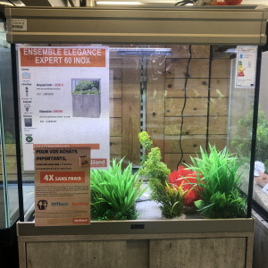 Publication de Romane_294