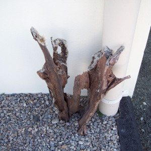 Publication de SERGE1460