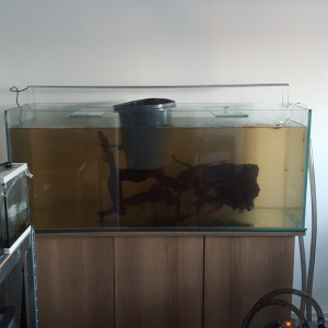 Publication de Minipote768