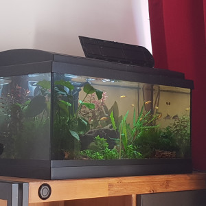 Publication de Mevew