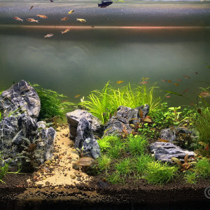 Publication de juan-carlito-stock