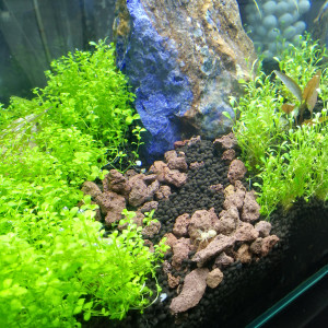 Publication de Stef7524