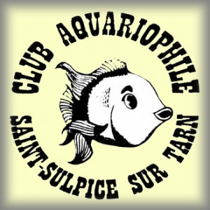 club aquariophilie Aquarium de Saint Sulpice