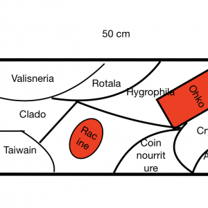 Publication de octave-dumesnil