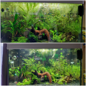 Publication de Fouch1