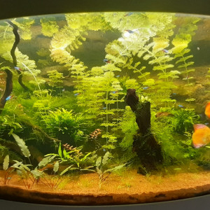 Publication de Alex76