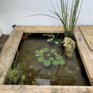 Publication de scric74