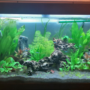 Publication de laure-poussinsky