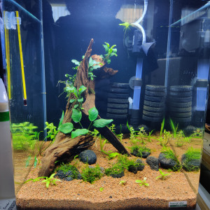 Nano30