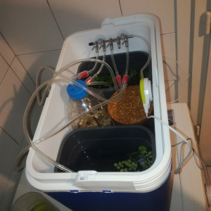 Publication de MrBear