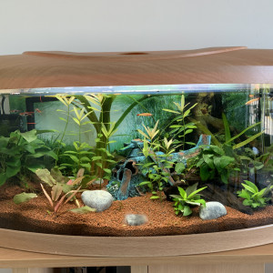 Publication de Sebinou01