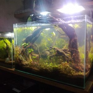 Publication de MrBear