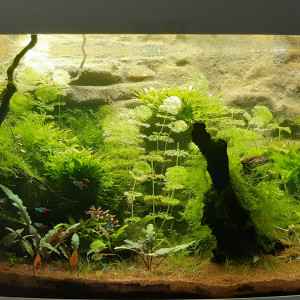 Publication de Alex76