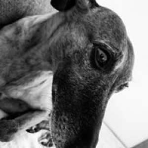 charly-bonnier-gobry