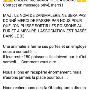 Publication de MarleneMLX