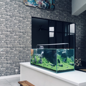 Publication de AquaLoft