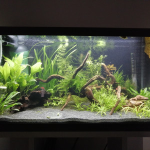 Publication de christophe-favennec