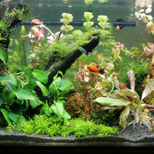 Publication de ChrisdeReims