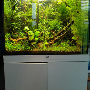 Publication de will77