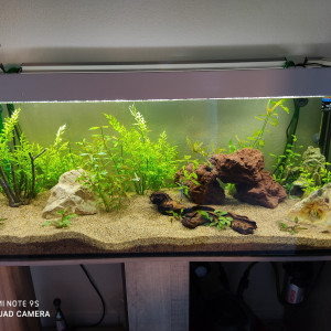 Publication de Nicolas06240