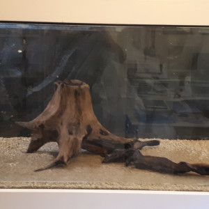 Publication de frederic-grenier