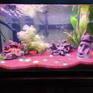 Publication de adidoo