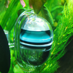 Publication de ChrisdeReims