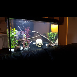 Premièr aquarium