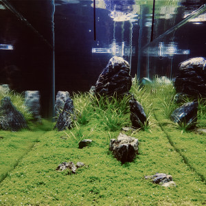 Publication de AquaLoft
