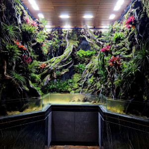 Publication de NakMuay