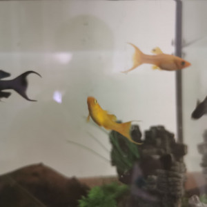 Publication de geo-ffrey