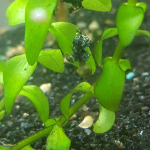 Publication de Hardcorexxx