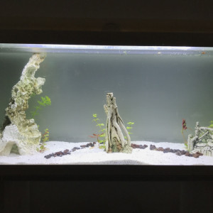 Publication de benjamin-prudhomme