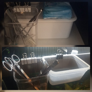 Publication de Lulu82