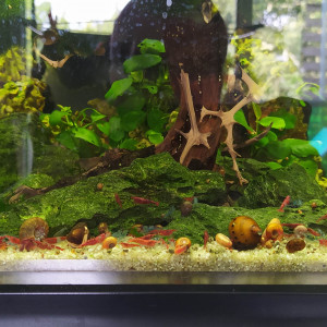 Publication de AwesomeSince82