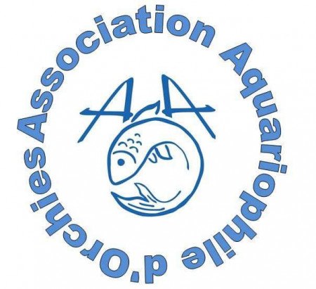 club Association aquariophilie d'Orchies