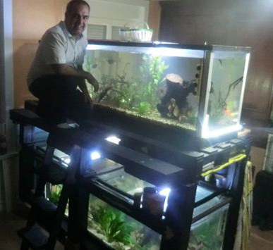 aquariophile megados